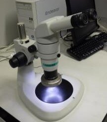 双眼実体顕微鏡-2